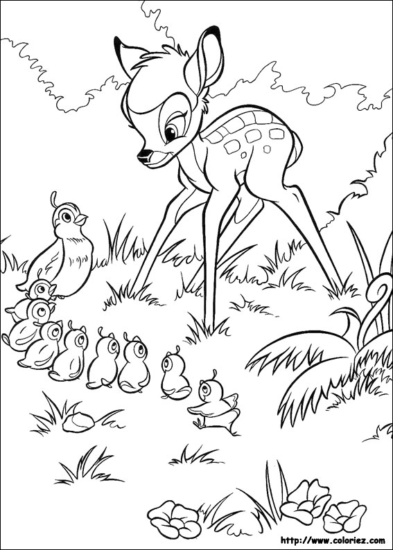 coloriage à dessiner bambi et ses amis