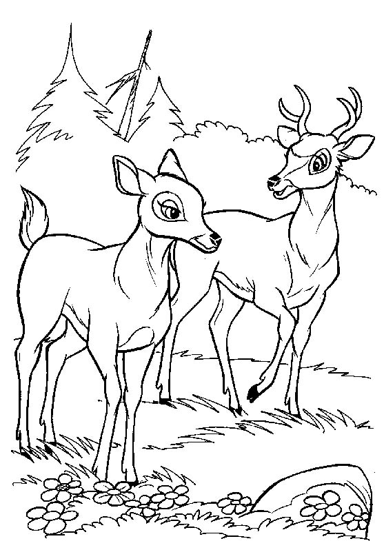 coloriage  dessiner bambi en ligne