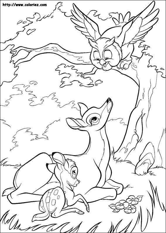 dessin à colorier bambi et feline