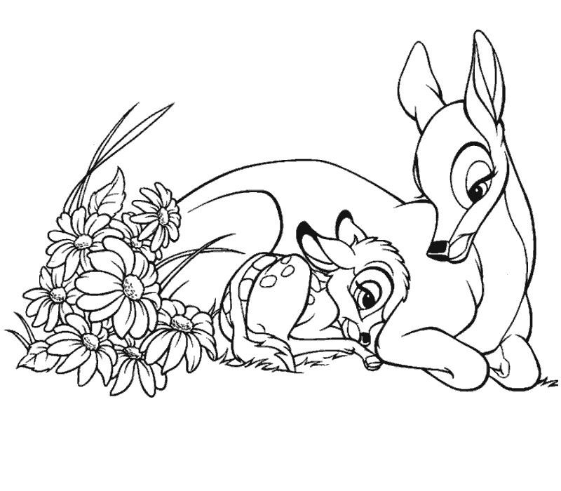 coloriage bambi et ses amis