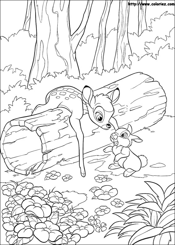 coloriage à dessiner bambi et feline
