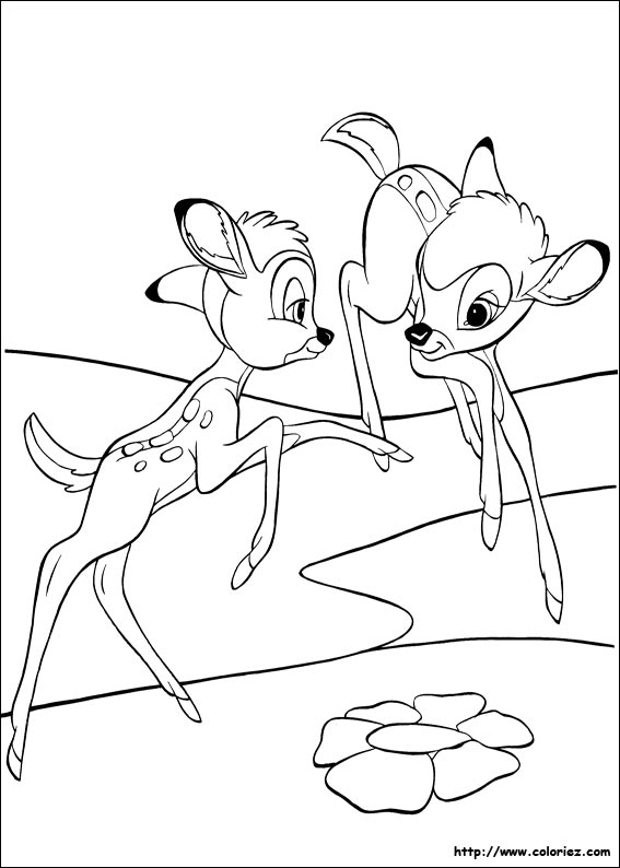dessin bambi et feline