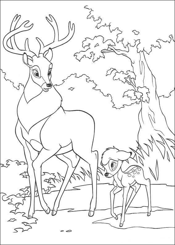 dessin bambi gratuit