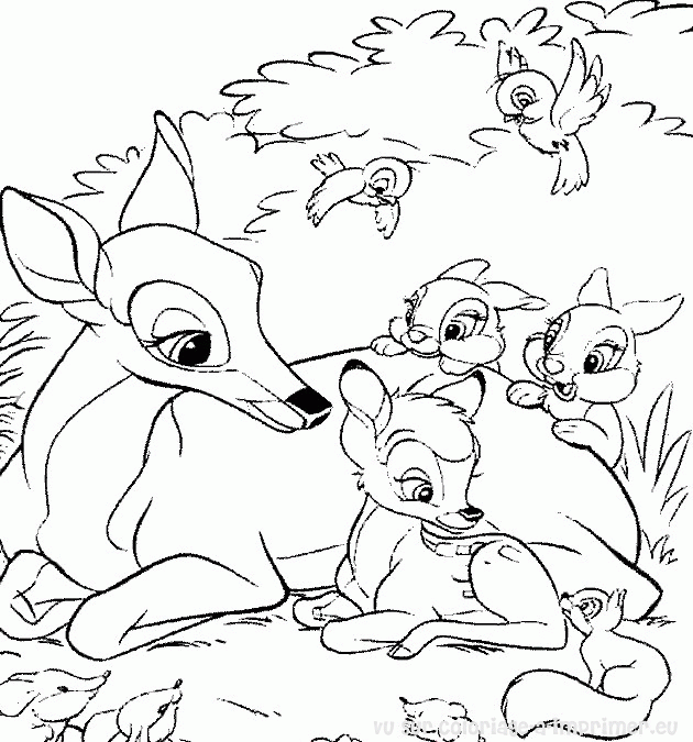 coloriage bambi et feline