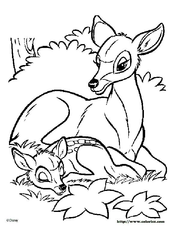 coloriage maman bambi