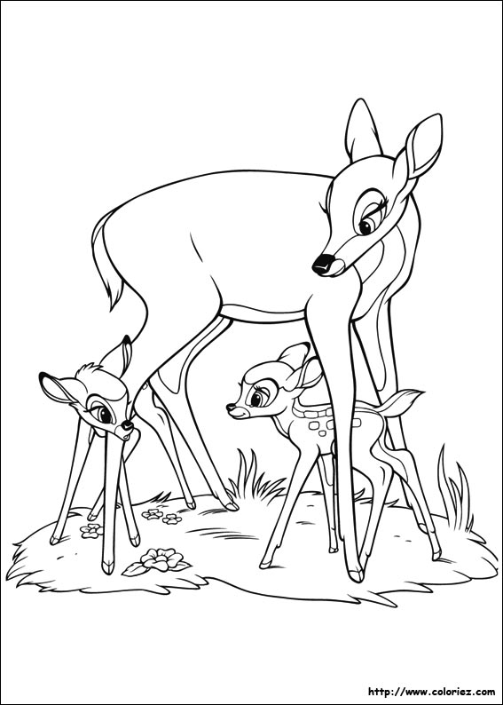 dessin bambi à imprimer gratuit