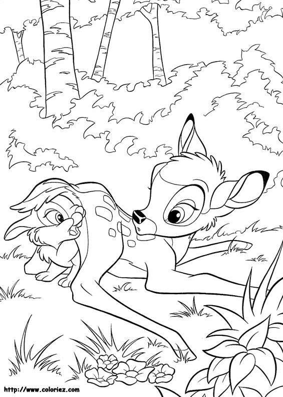dessin bambi