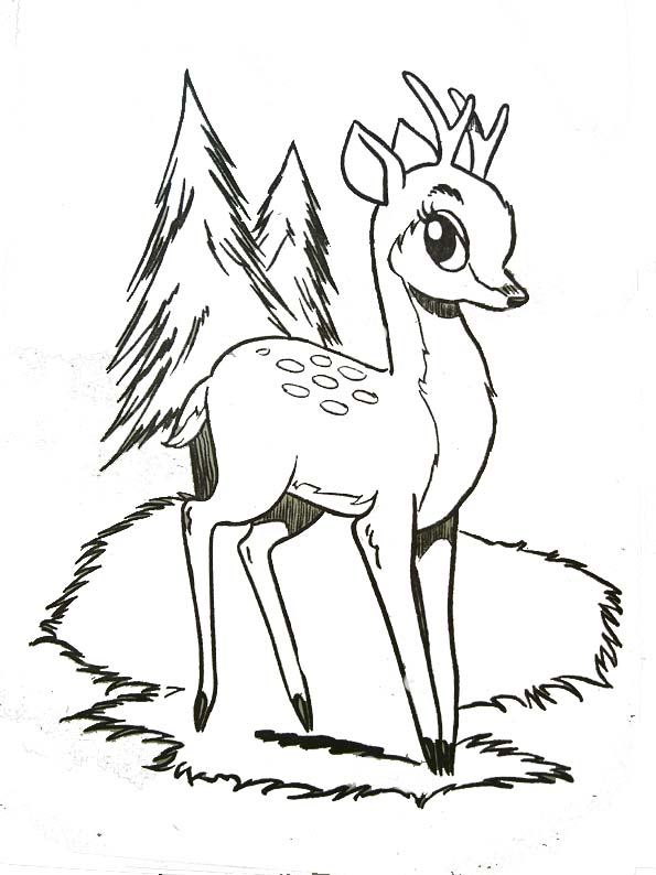 dessin dessin  colorier bambi