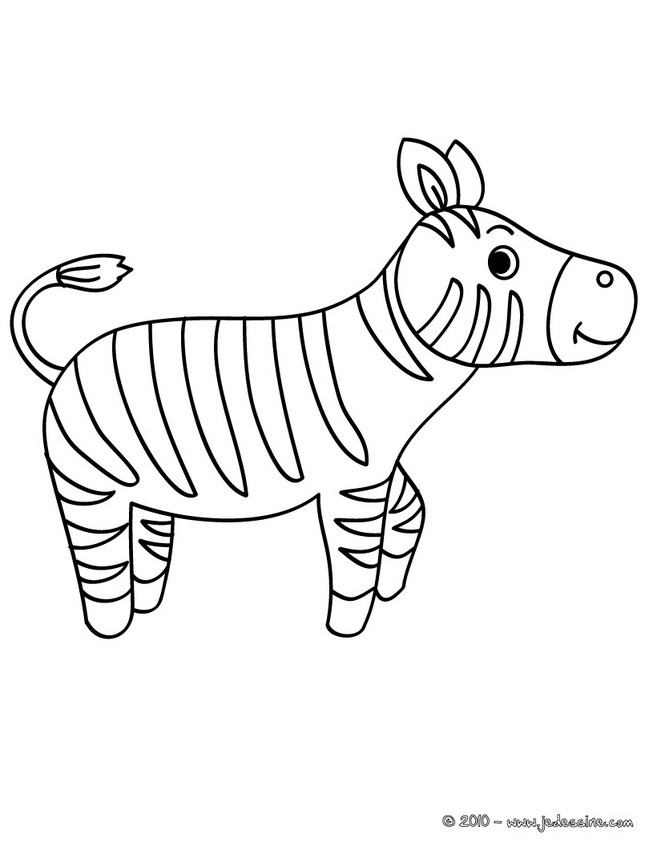 coloriage bebe zebre