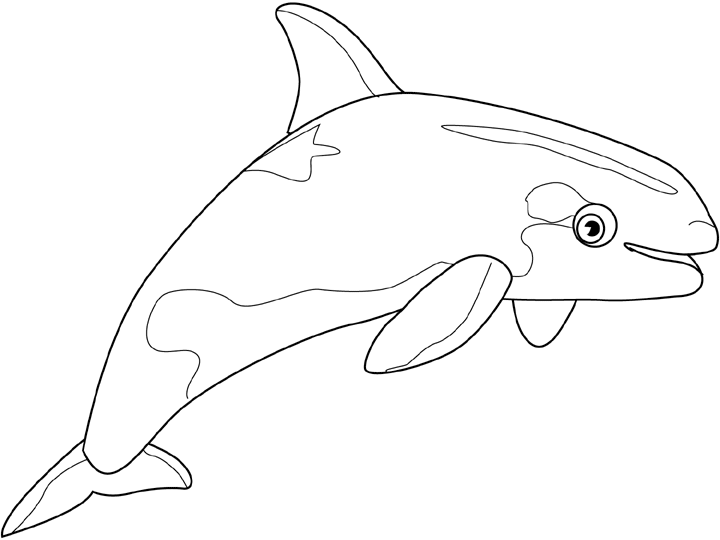 coloriage beluga