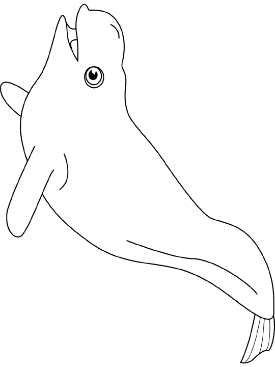 coloriage beluga a imprimer