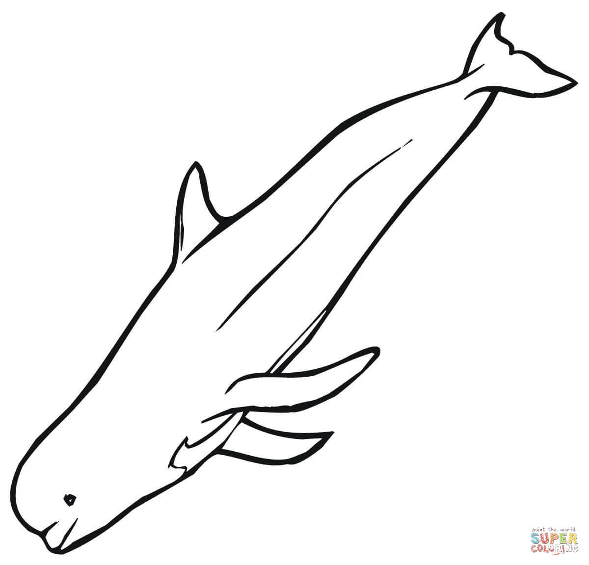 coloriage  dessiner beluga