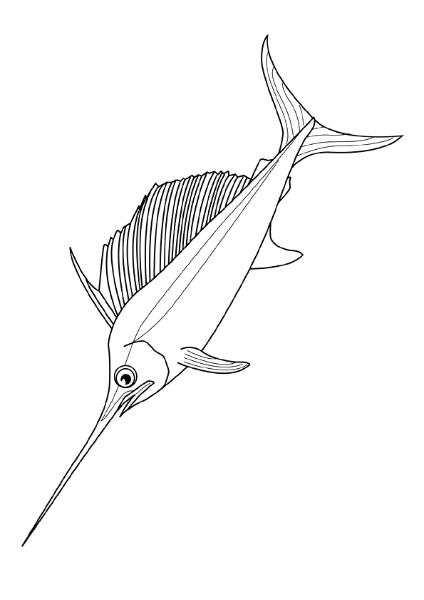 coloriage avion beluga