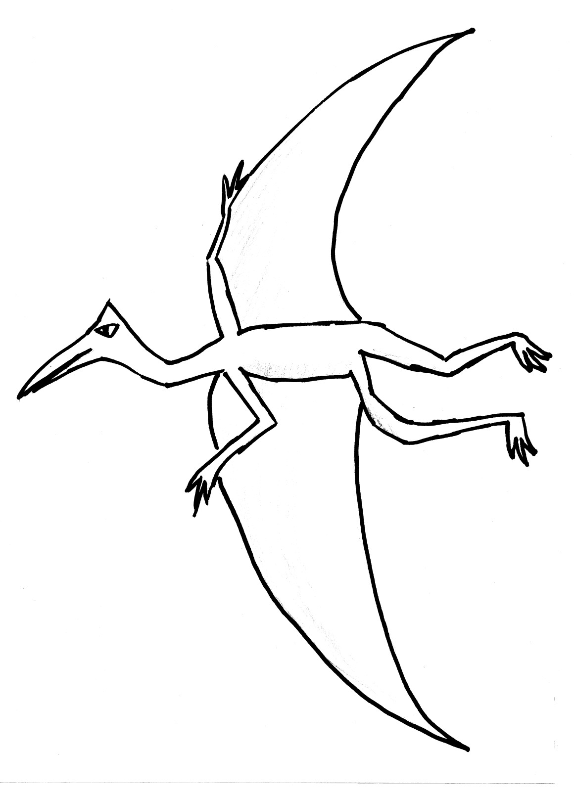 19 dessins de coloriage Bibi Phoque à imprimer coloriage bibi phoque