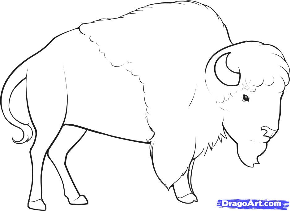 dessin  colorier gratuit bison