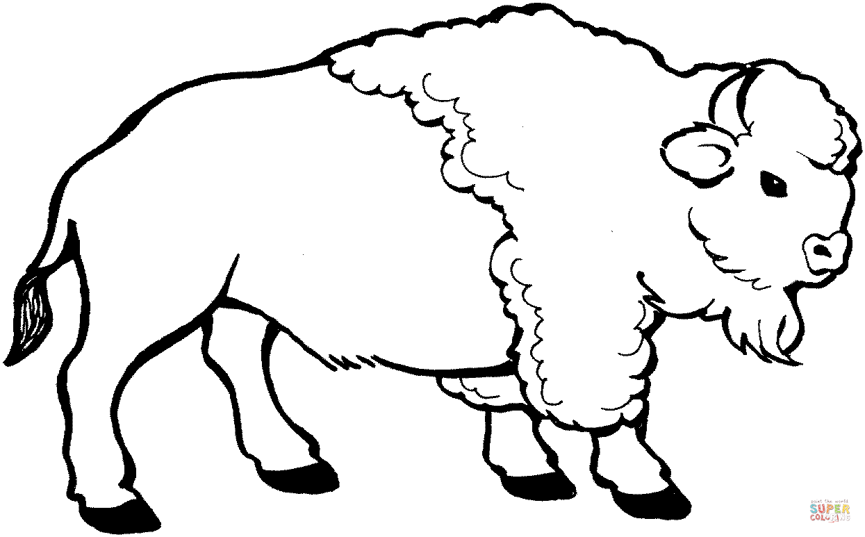 coloriage à dessiner bisons