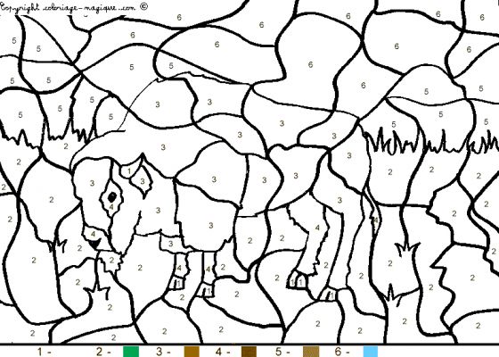 coloriage bison d'amrique