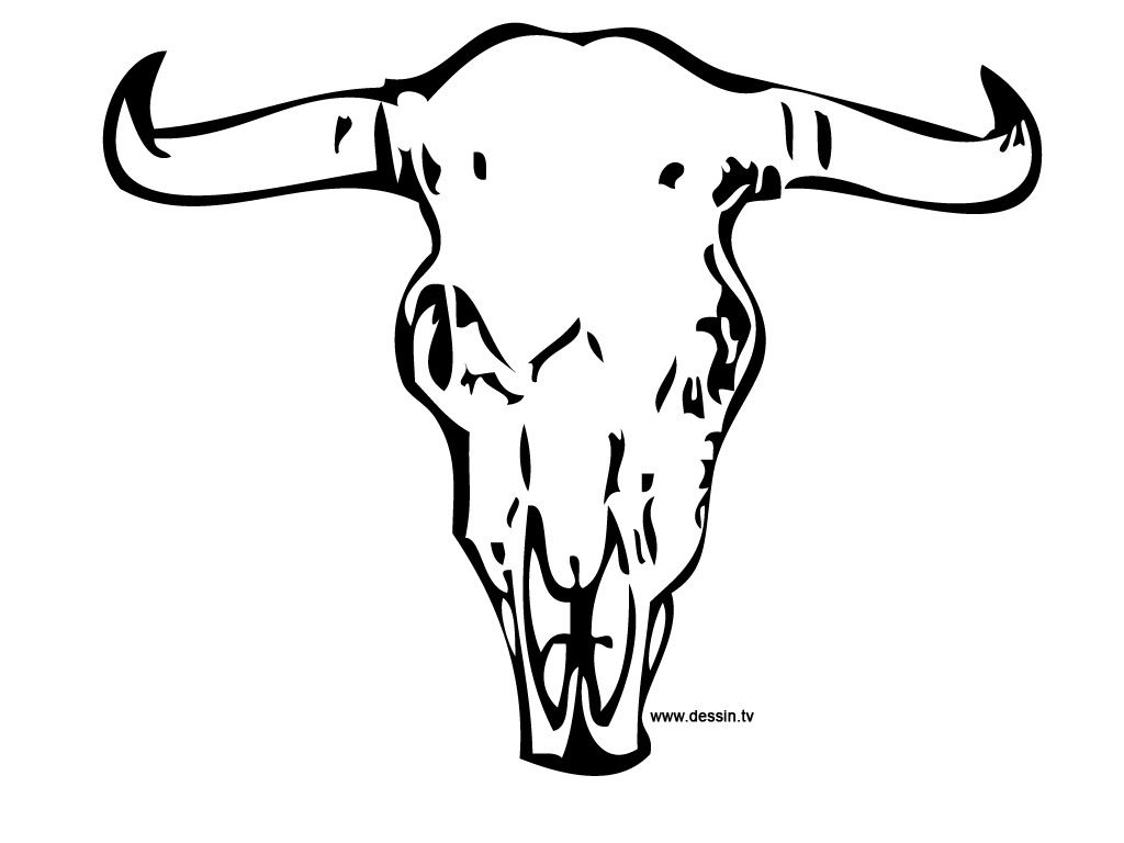 dessin bison