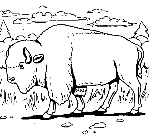 coloriage à imprimer bison