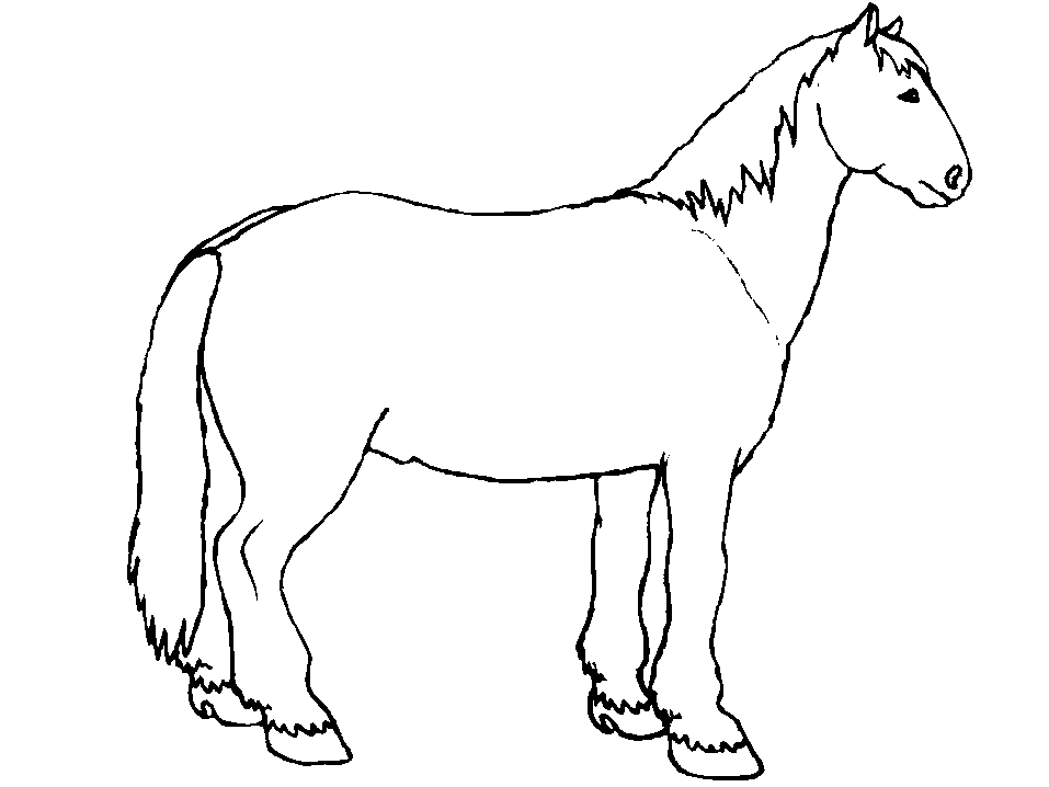 dessin d'un bison