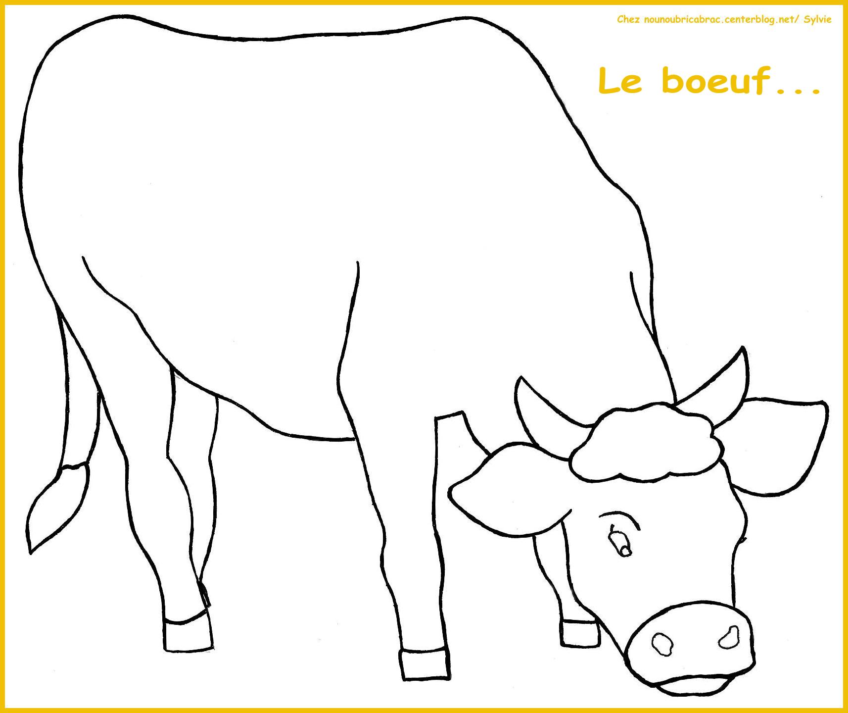 coloriage cote de boeuf