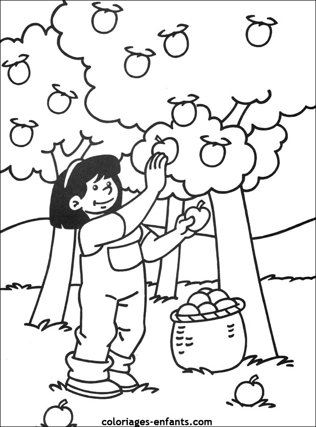 Coloriage Boxe à colorier - Dessin à imprimer coloriage à dessiner boxe en ligne