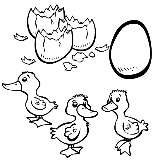 coloriage à dessiner vilain petit canard imprimer