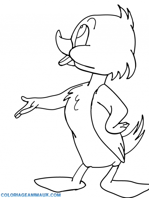 dessin à colorier d'un canard