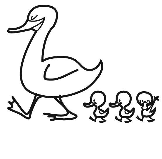 Coloriage Canard à colorier - Dessin à imprimer coloriage canards