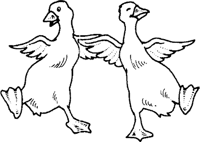 dessin à colorier canard en ligne