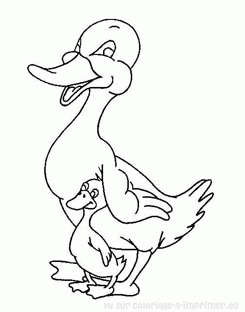 dessin a colorier canard