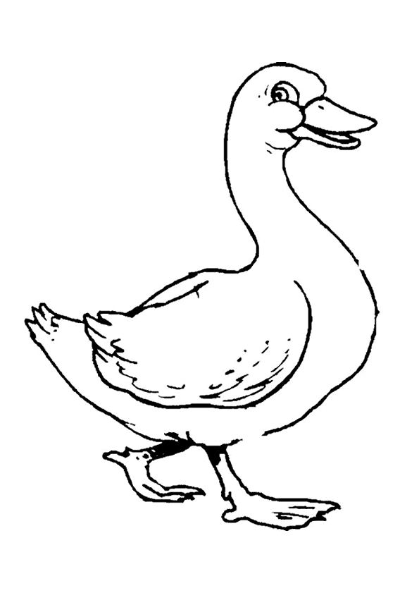 coloriage canard