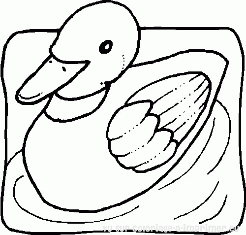 dessin canard de paques