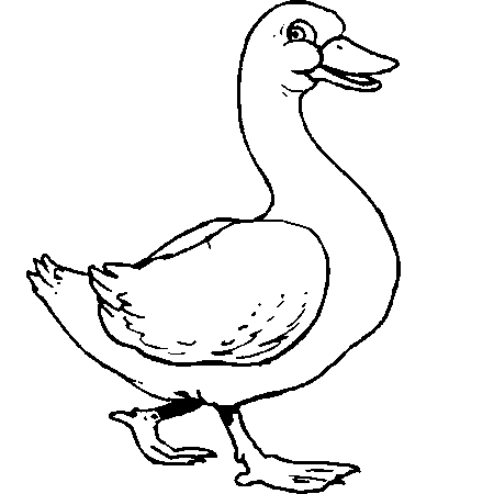 tete a modeler coloriage canard