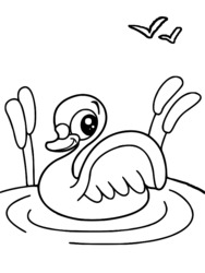dessin à colorier canard colvert imprimer