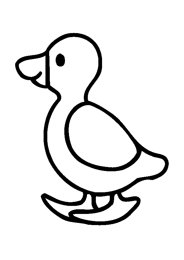 coloriage à dessiner canard hugo