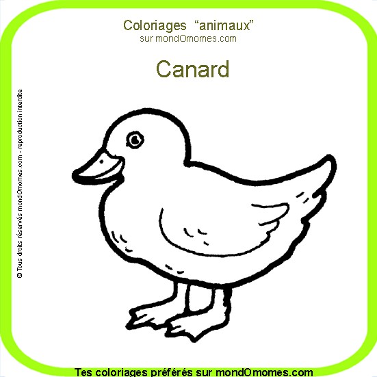 dessin  colorier canard a imprimer gratuit