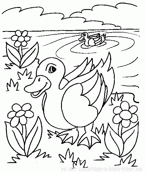 dessin à colorier masque canard