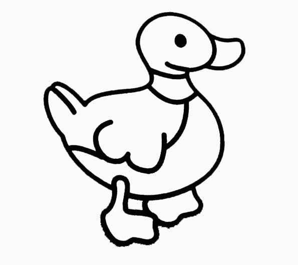 coloriage d'un canard