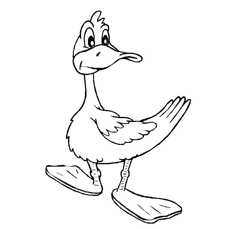 coloriage  imprimer canard