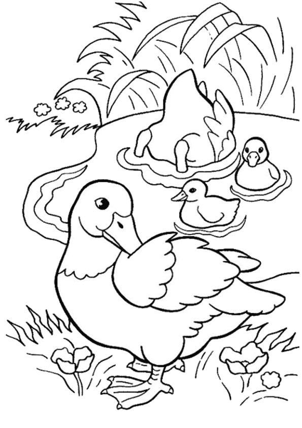 dessin canard de bain