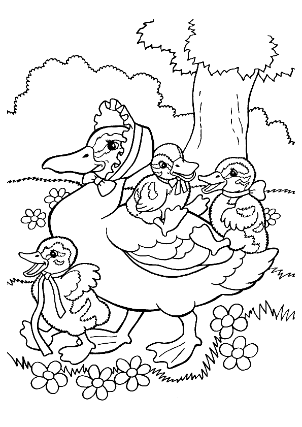 dessin à colorier canard colvert