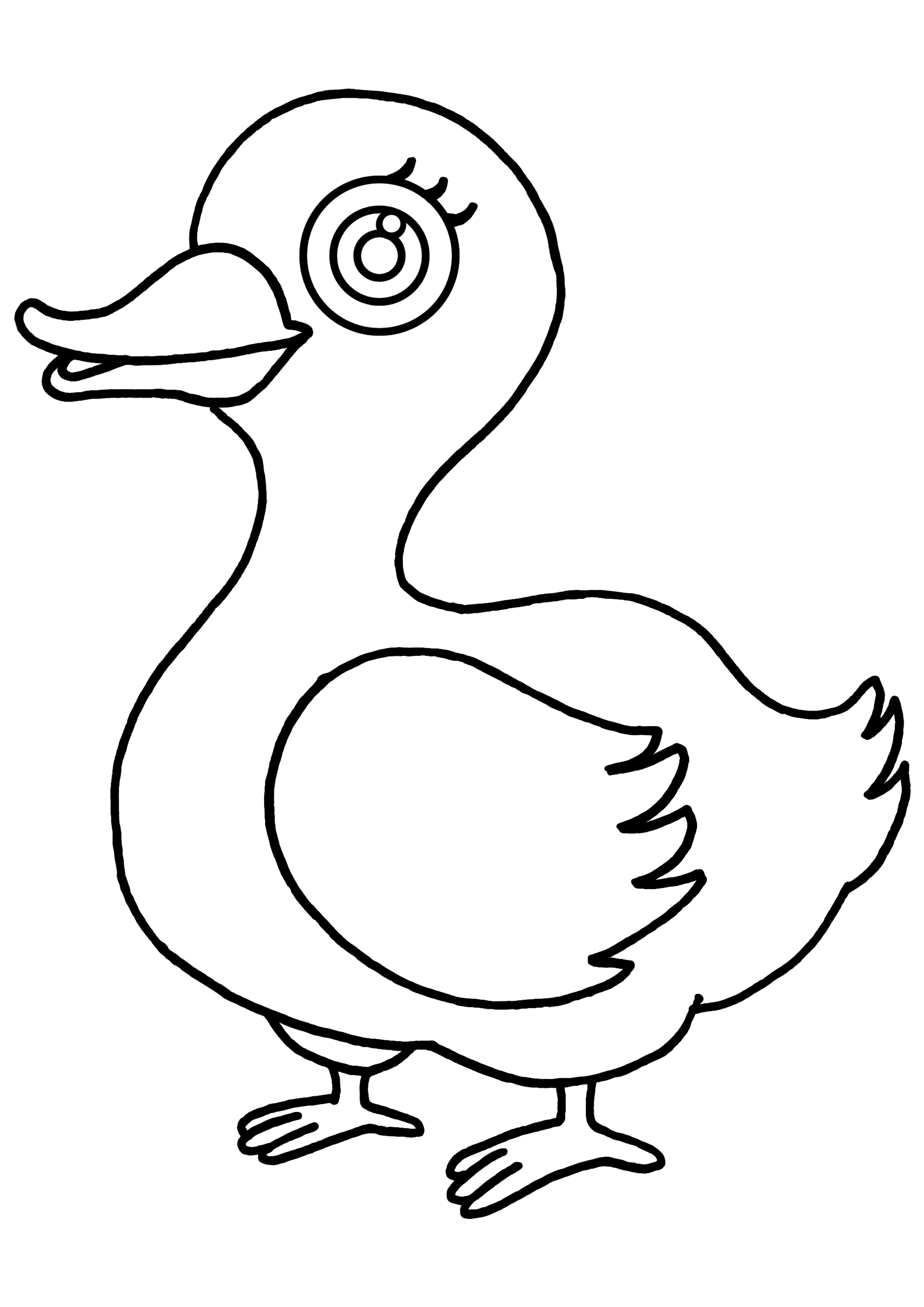 coloriage canard a imprimer