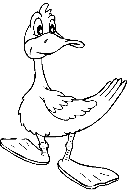 dessin à colorier gratuit canard imprimer