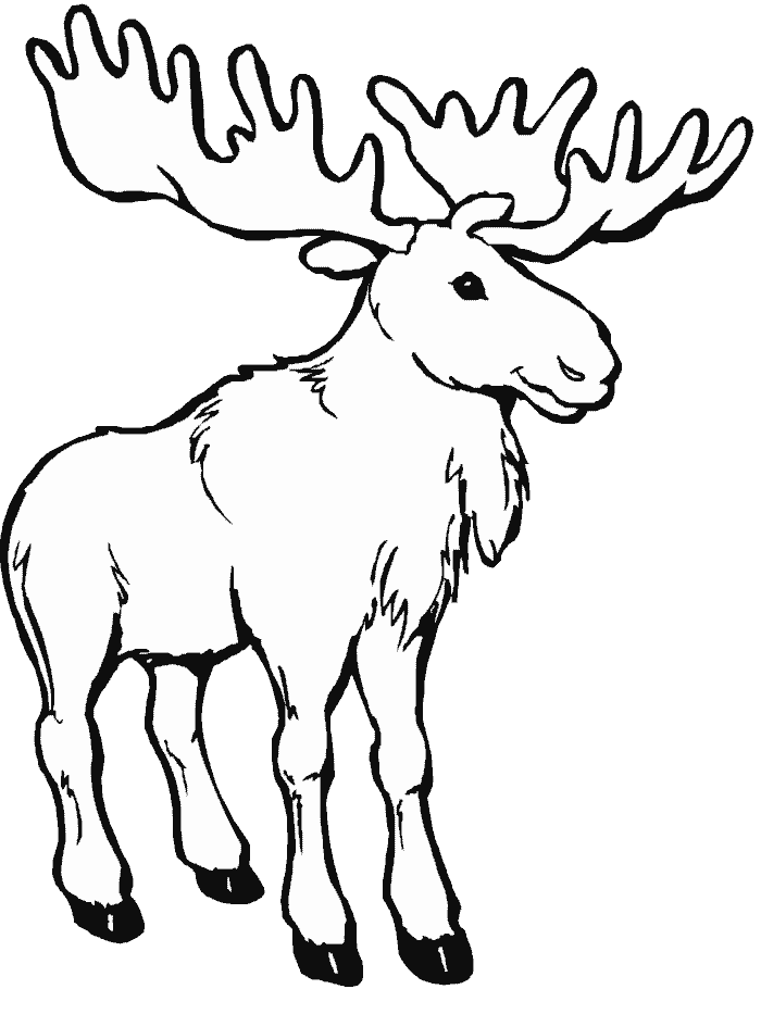 dessin  colorier caribou gratuit