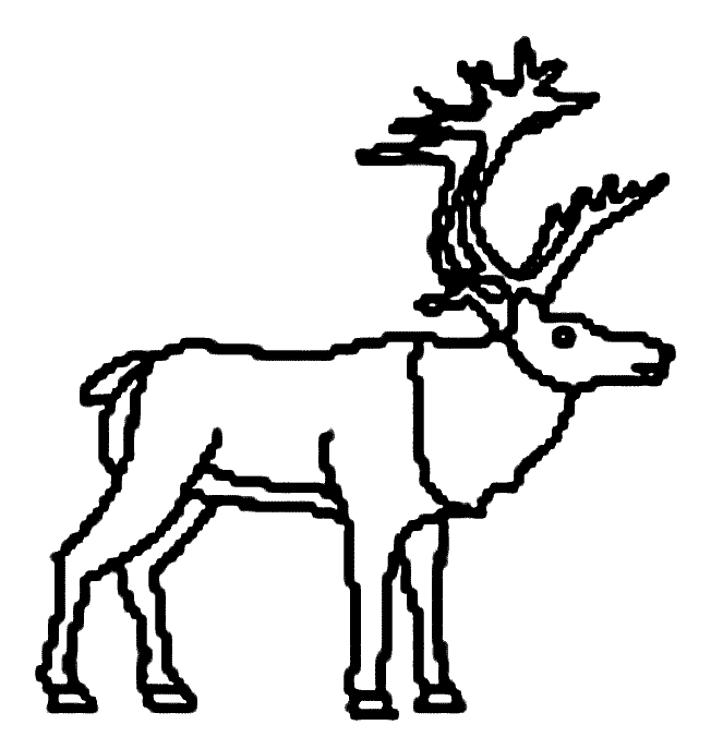 dessin tete de caribou