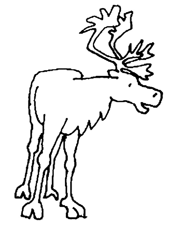 coloriage à dessiner caribou imprimer