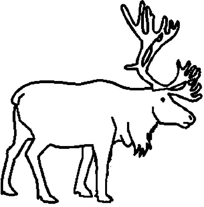 coloriage à dessiner tete de caribou