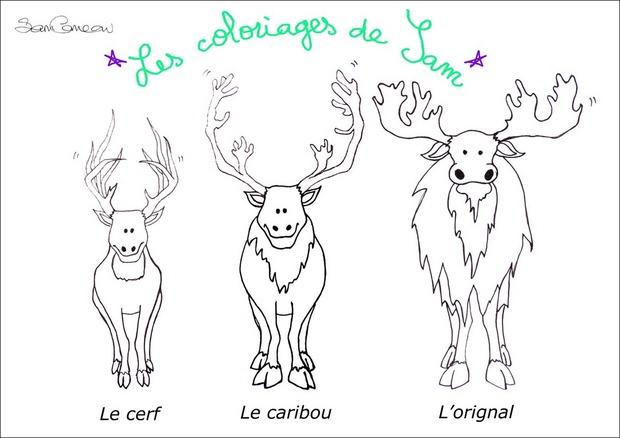 dessin à colorier caribou