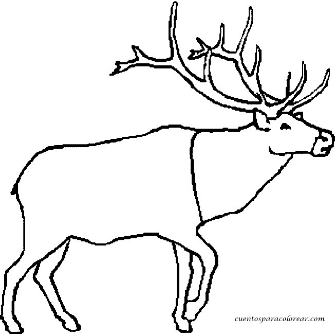 coloriage caribou imprimer